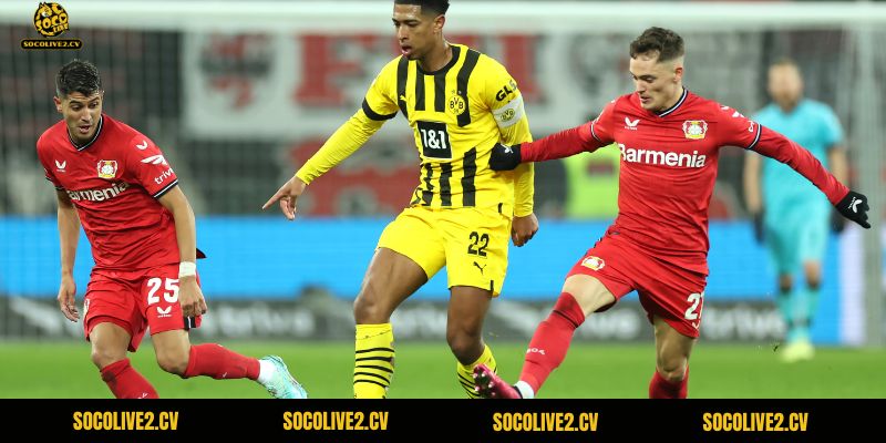 Hai đội đều đang có phong độ rất tốt trước cuộc chạm trán sắp tới